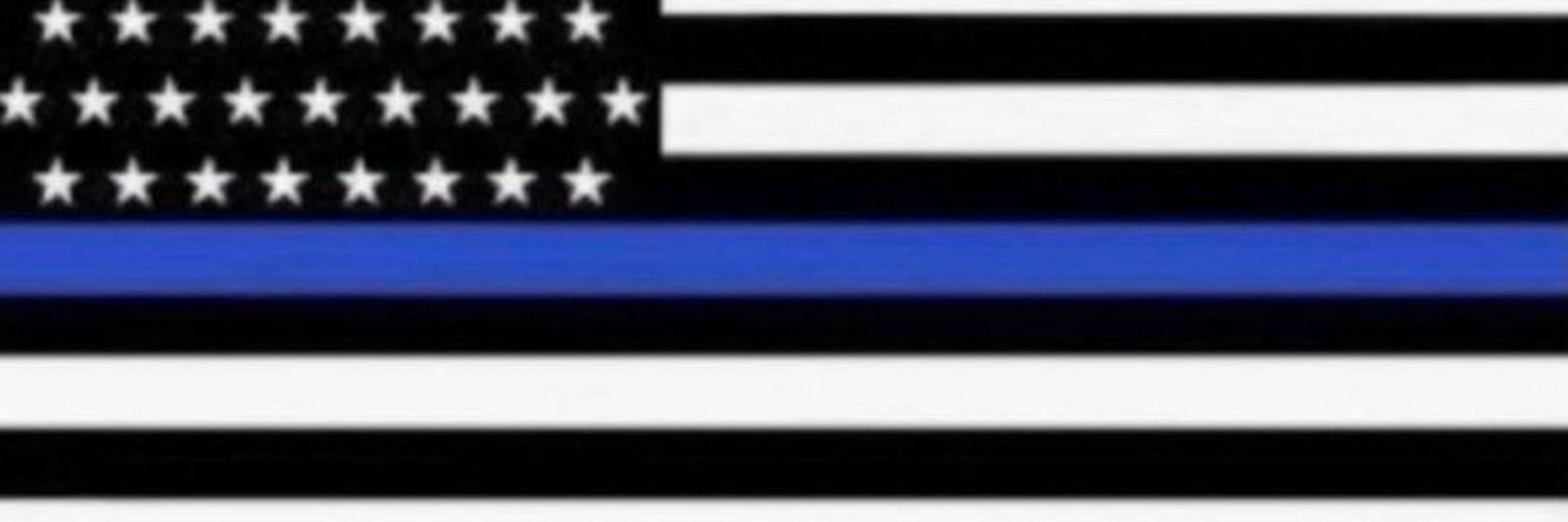Blue Lives Matter Sonic