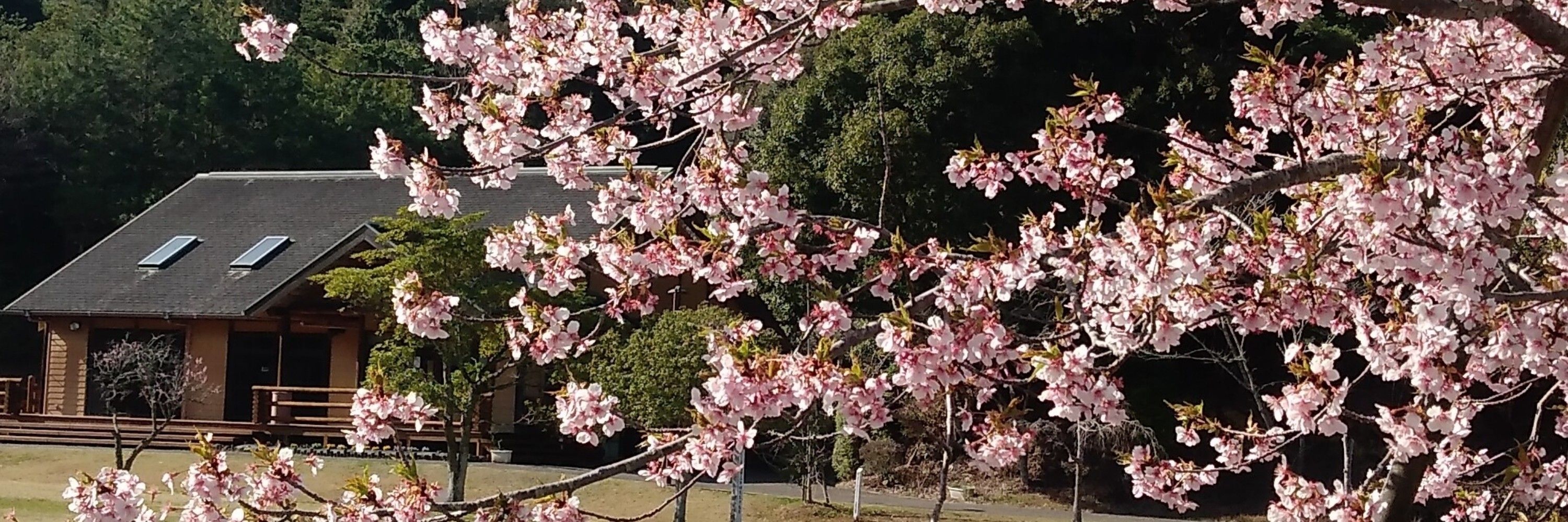 くるる