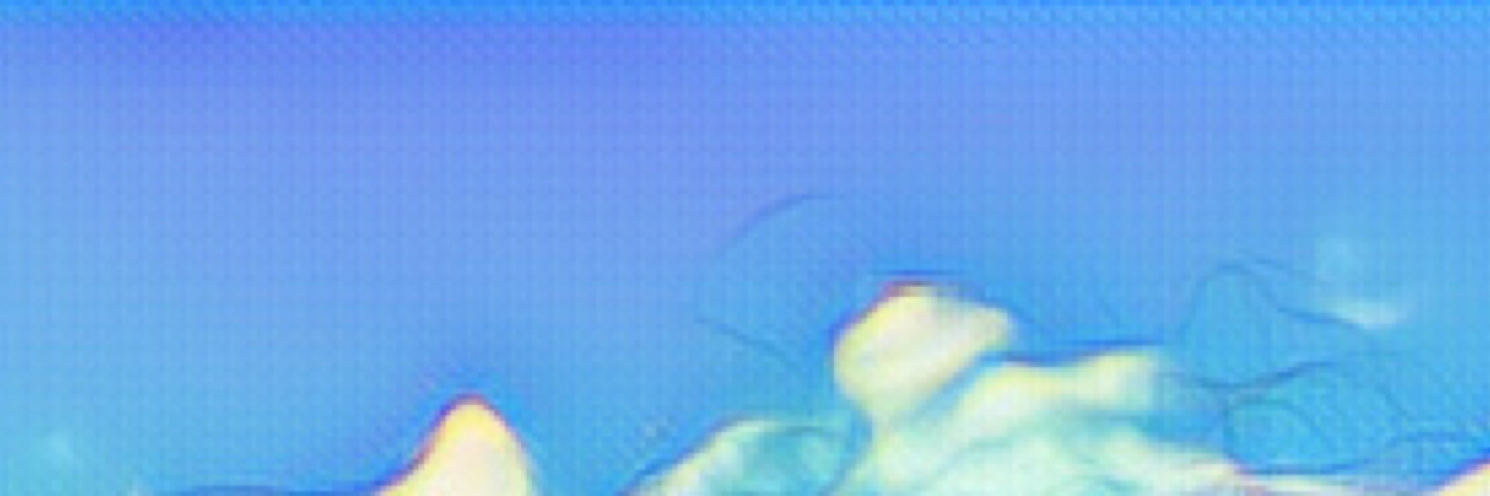 Isafava