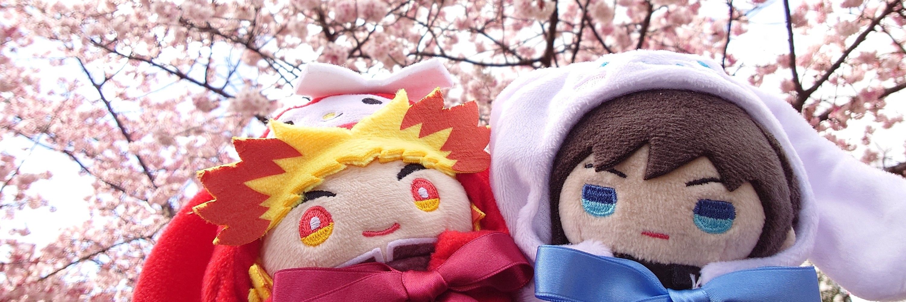 さくら🌸