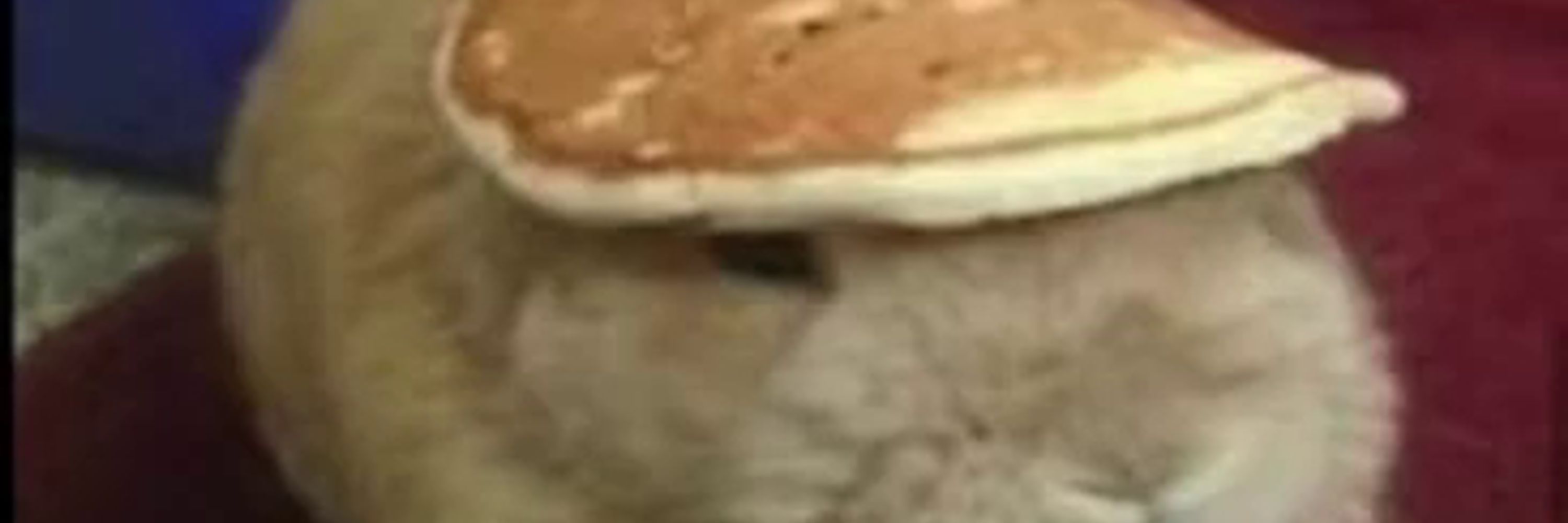 ara 