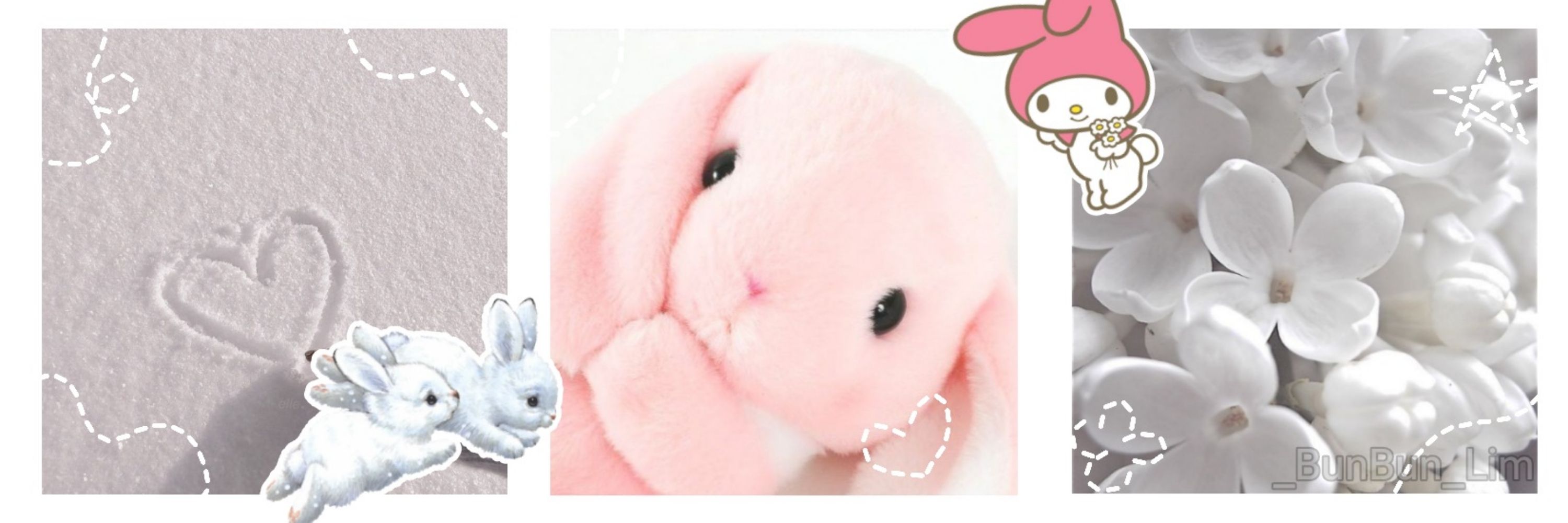 🌸 BunBun 🐾