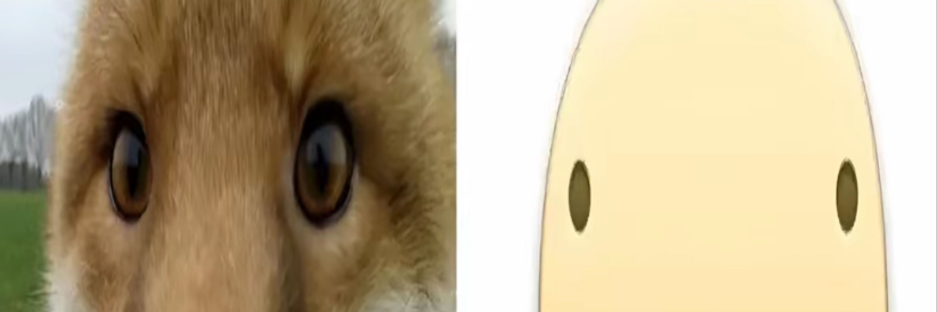 Yitty