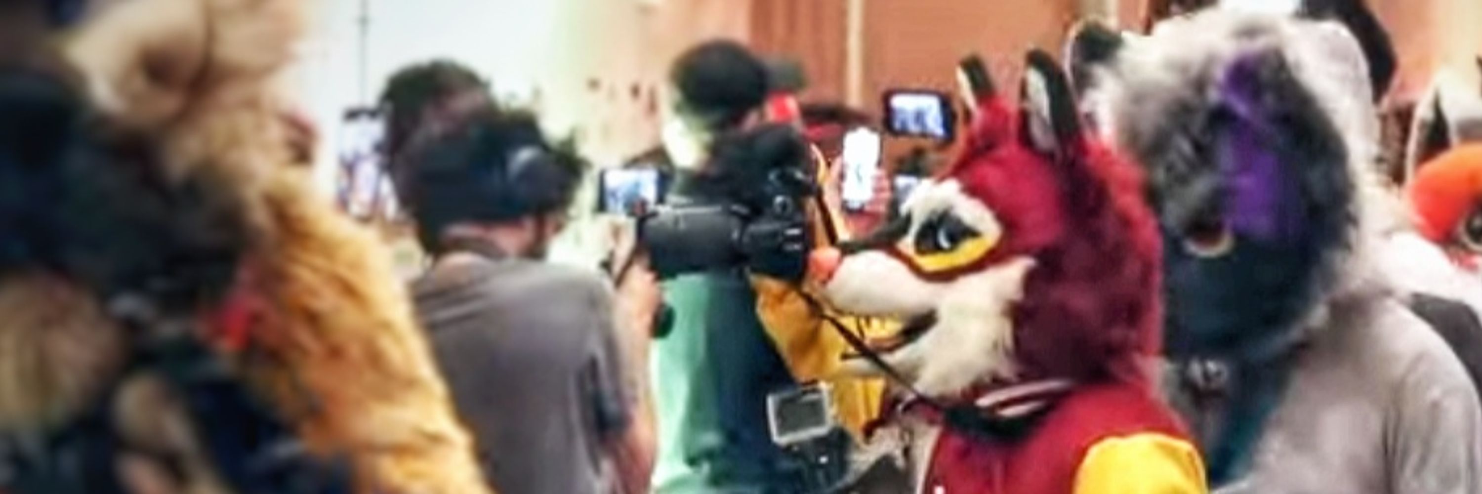 Rouxx Teowolf 