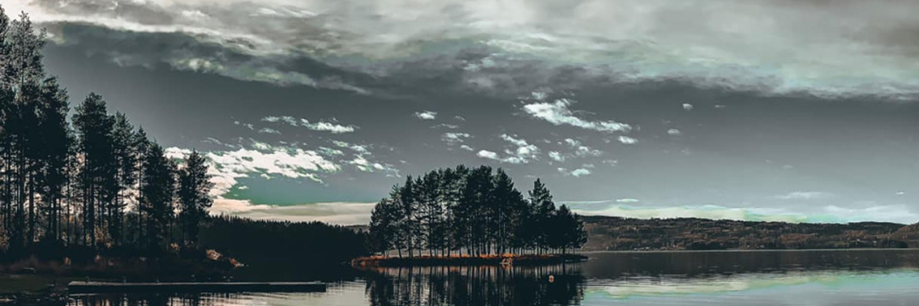 Isbjørnstad