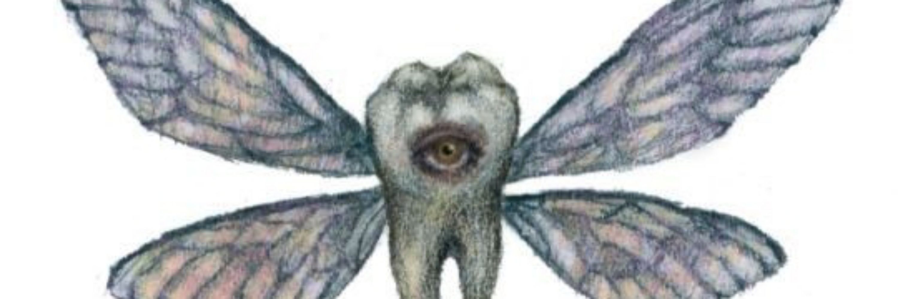 cissa