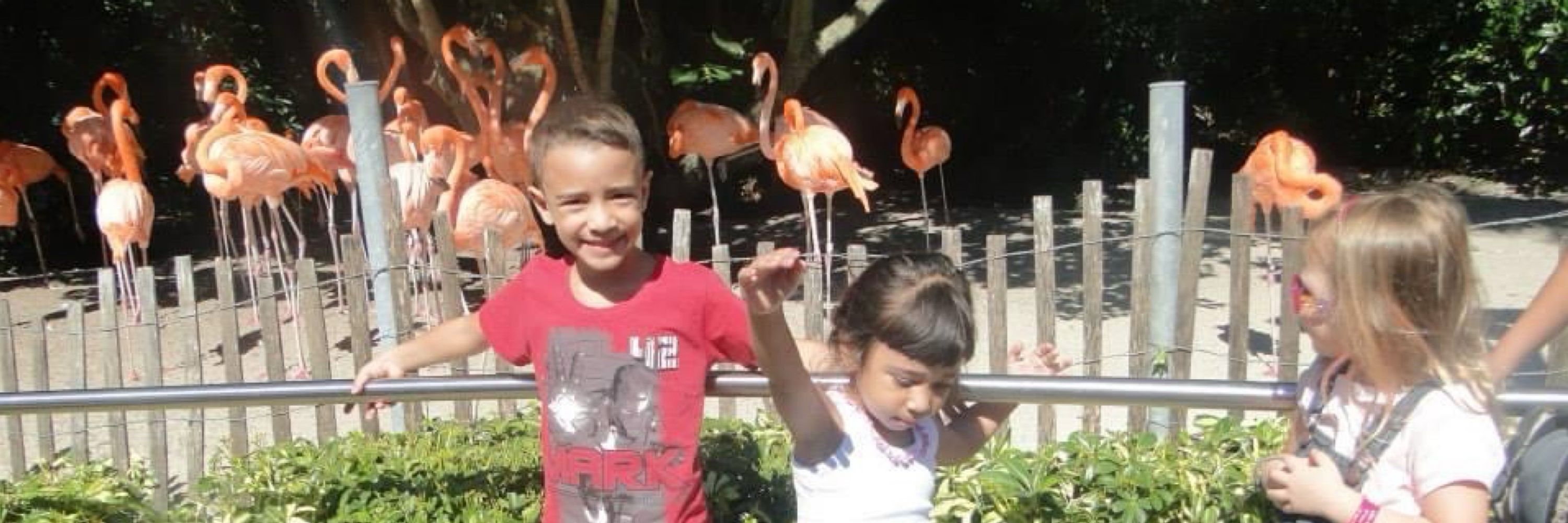 davi:)