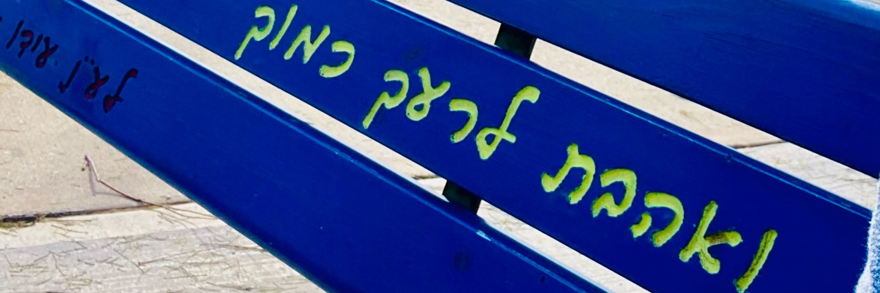 Rabbi Liz P.G. Hirsch (she/her)