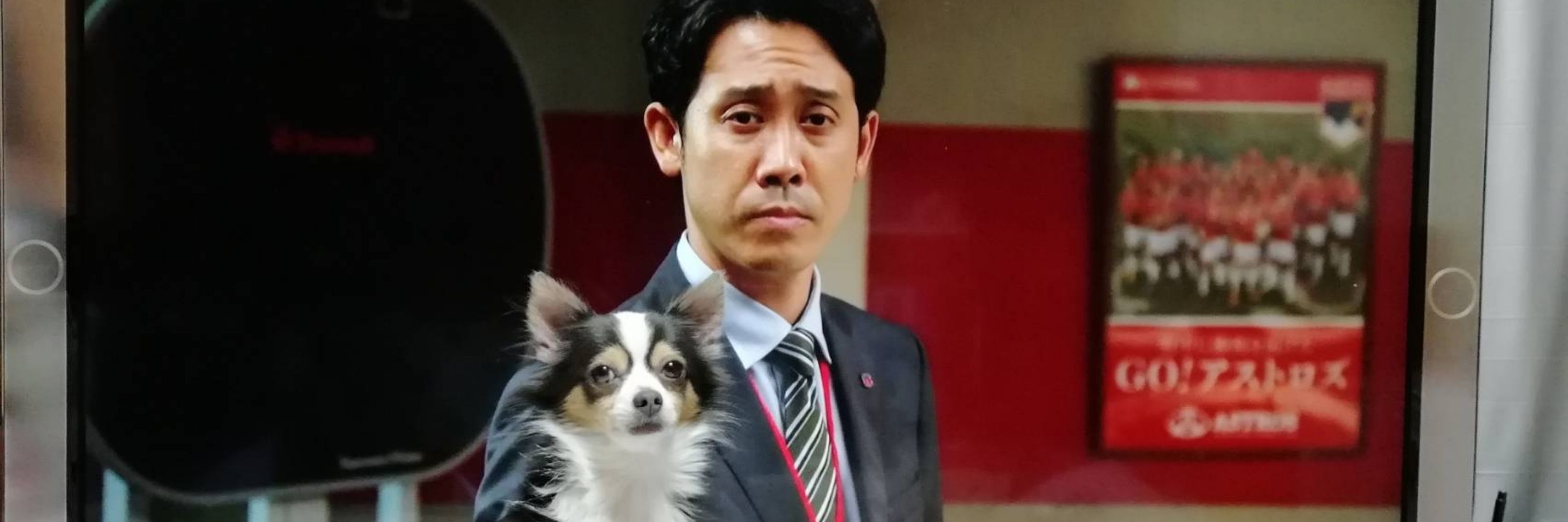 海月