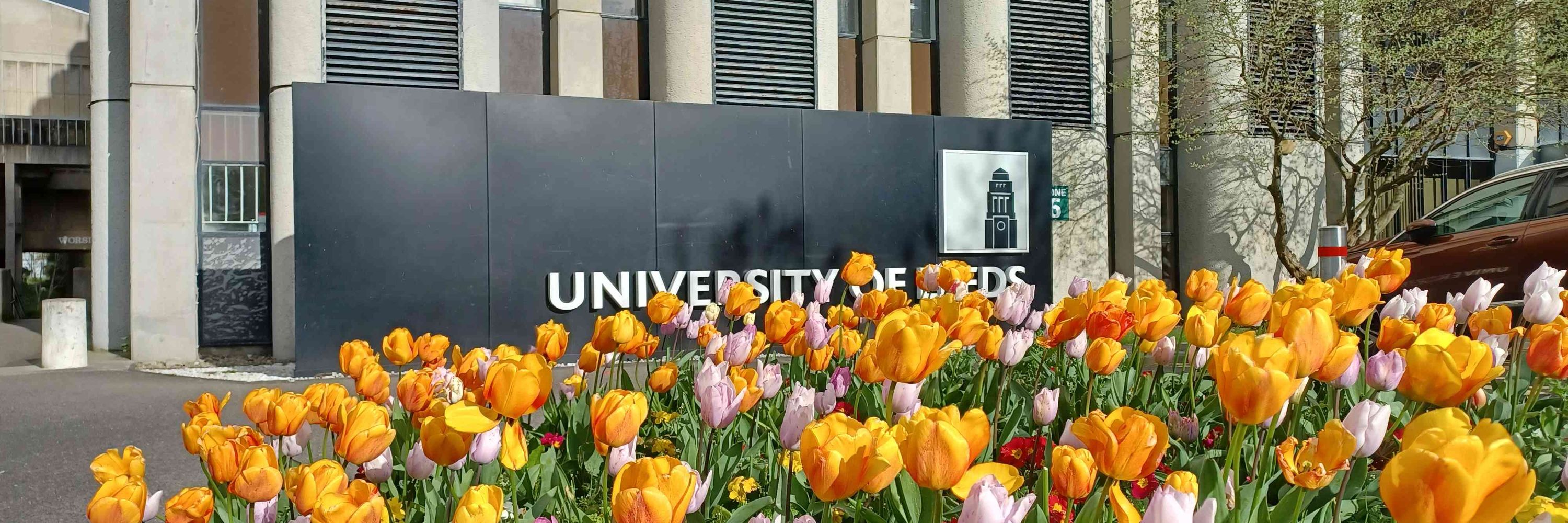 University of Leeds-Assessment Research Group
