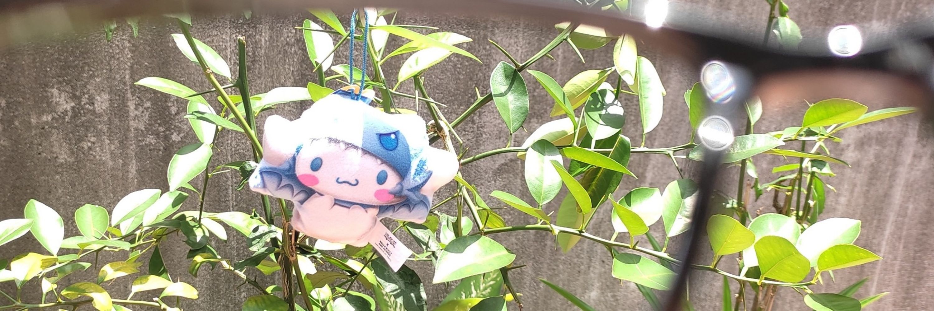 雪璃しらゆき