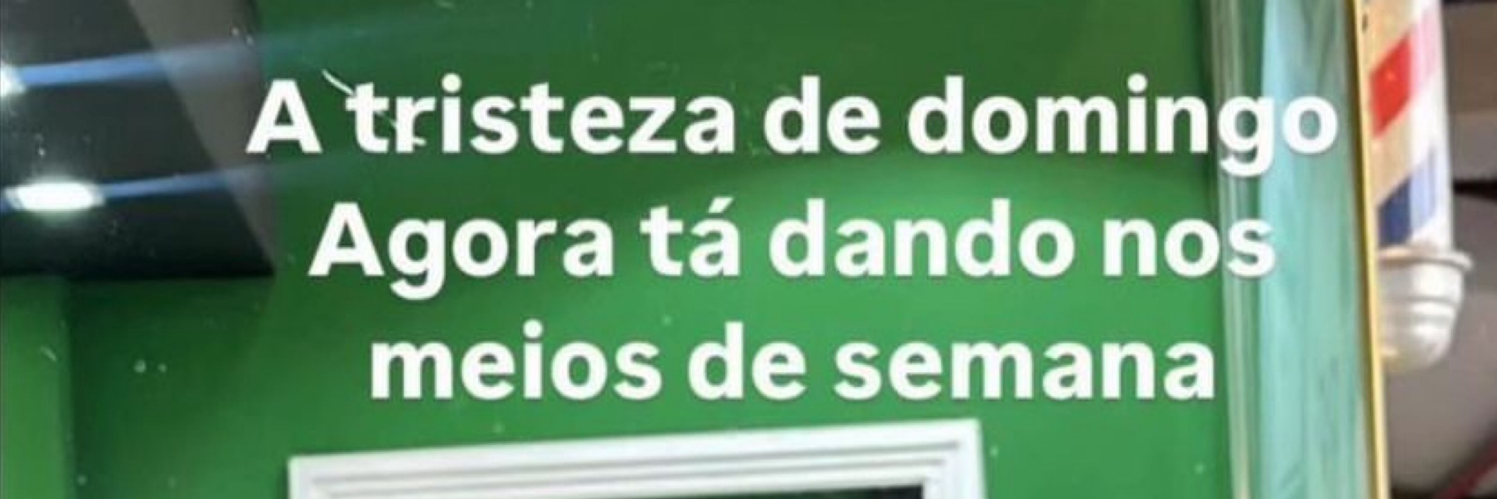 Netinhoo 🧪