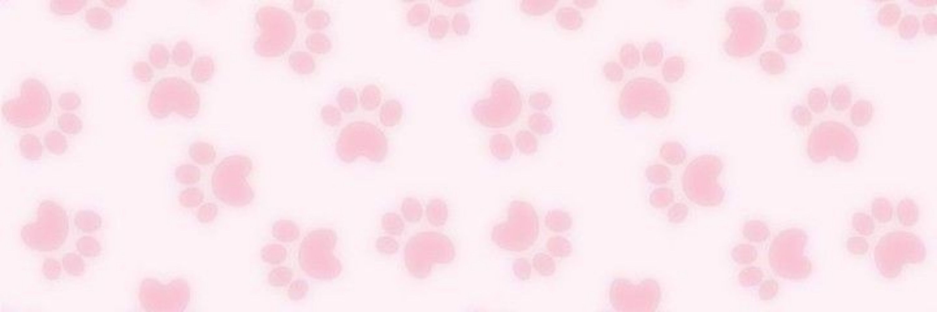 ‧˚꒰ rae-rae ꒱⋆