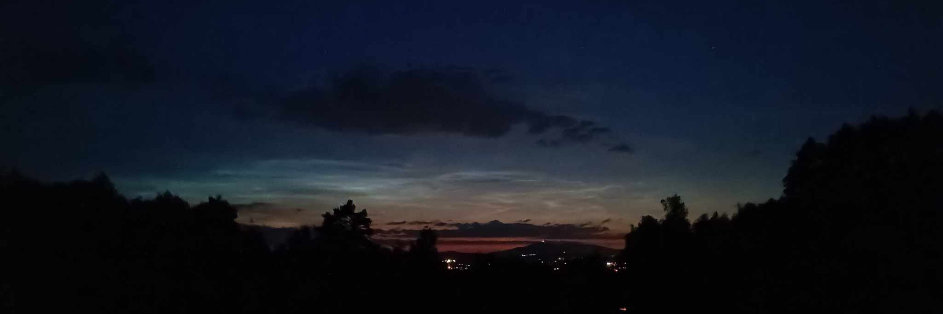 NLC Monitor