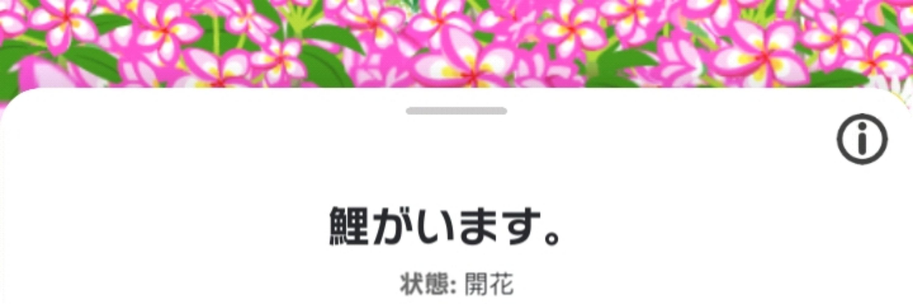 黒幕ver3.0
