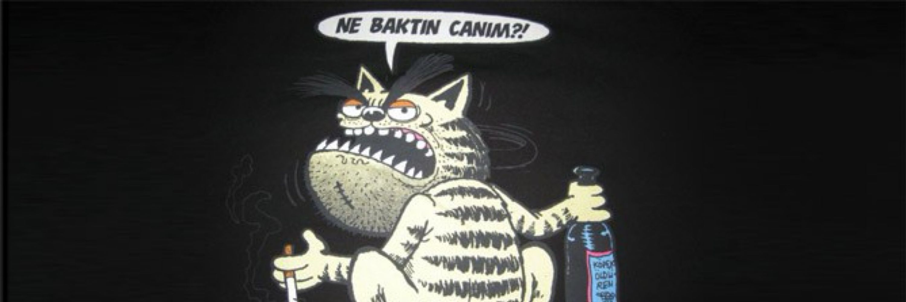 Erdal Koksal