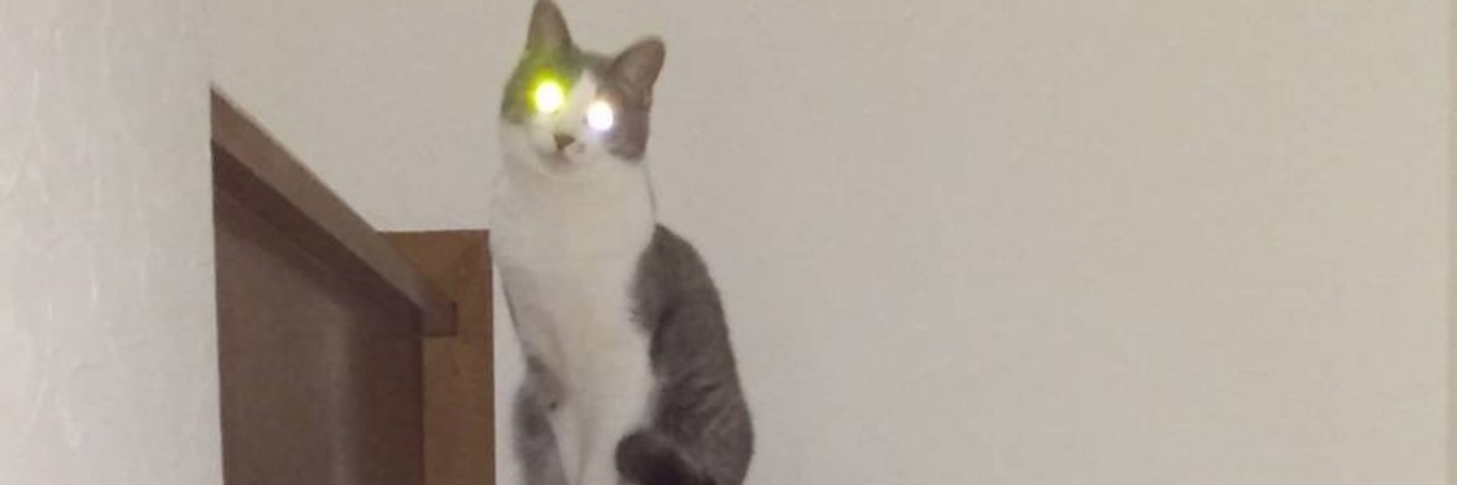 ぜろてん