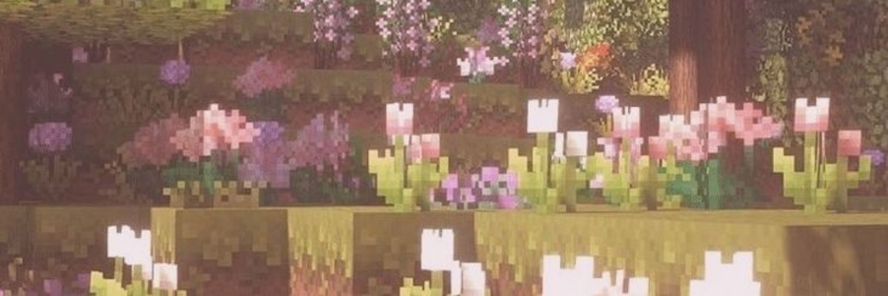 𝙰𝚕𝚕𝚢🌼