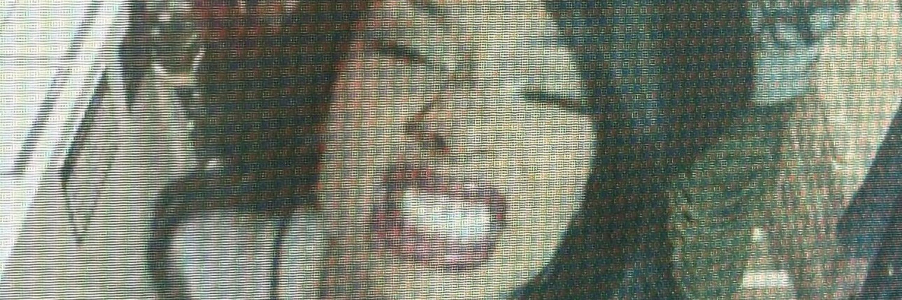 𝐥𝐞𝐳𝐳𝐨