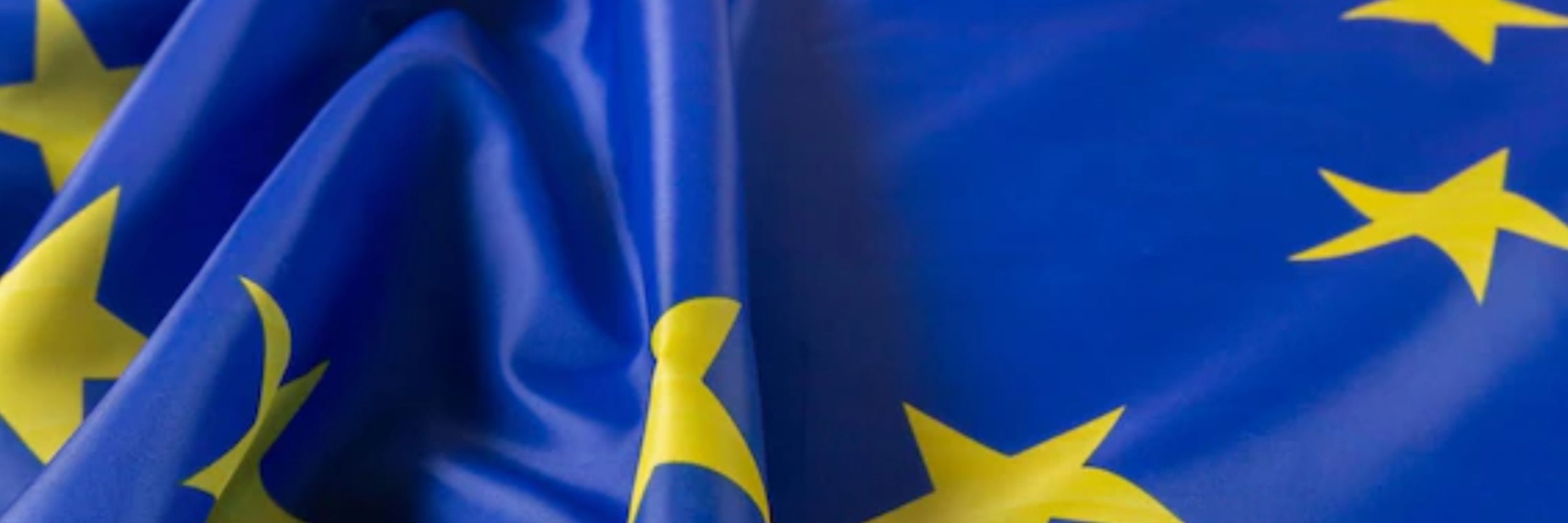 Elena Alfaro 🇪🇺🇺🇦
