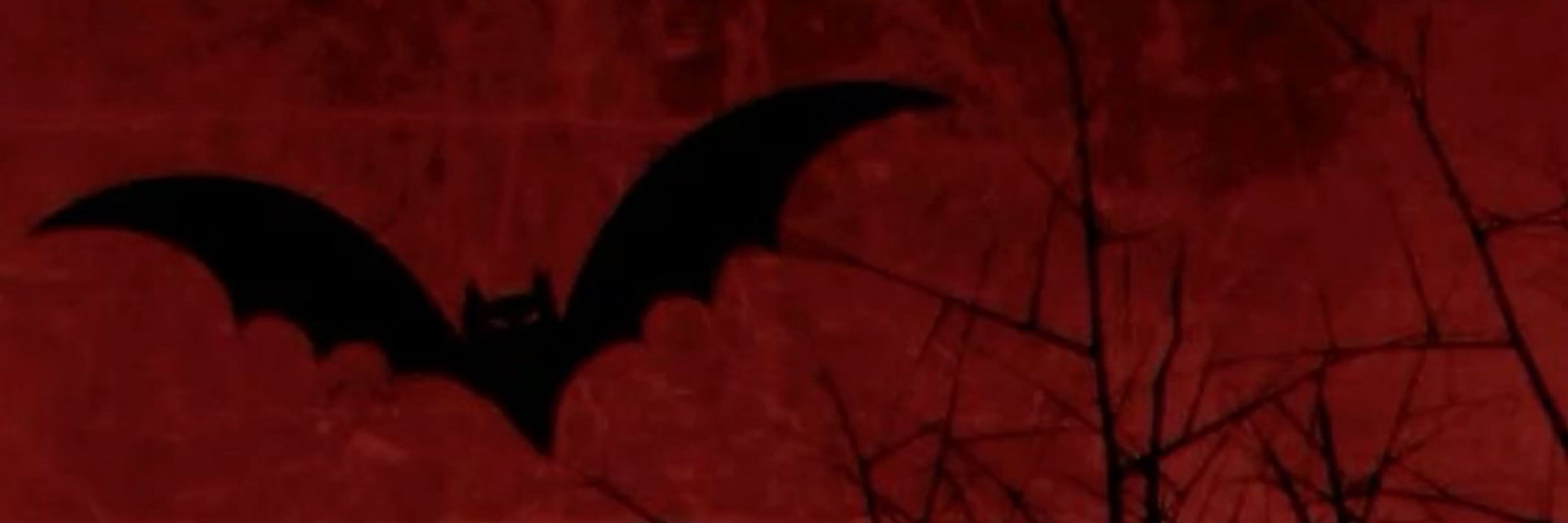 myst 🦇