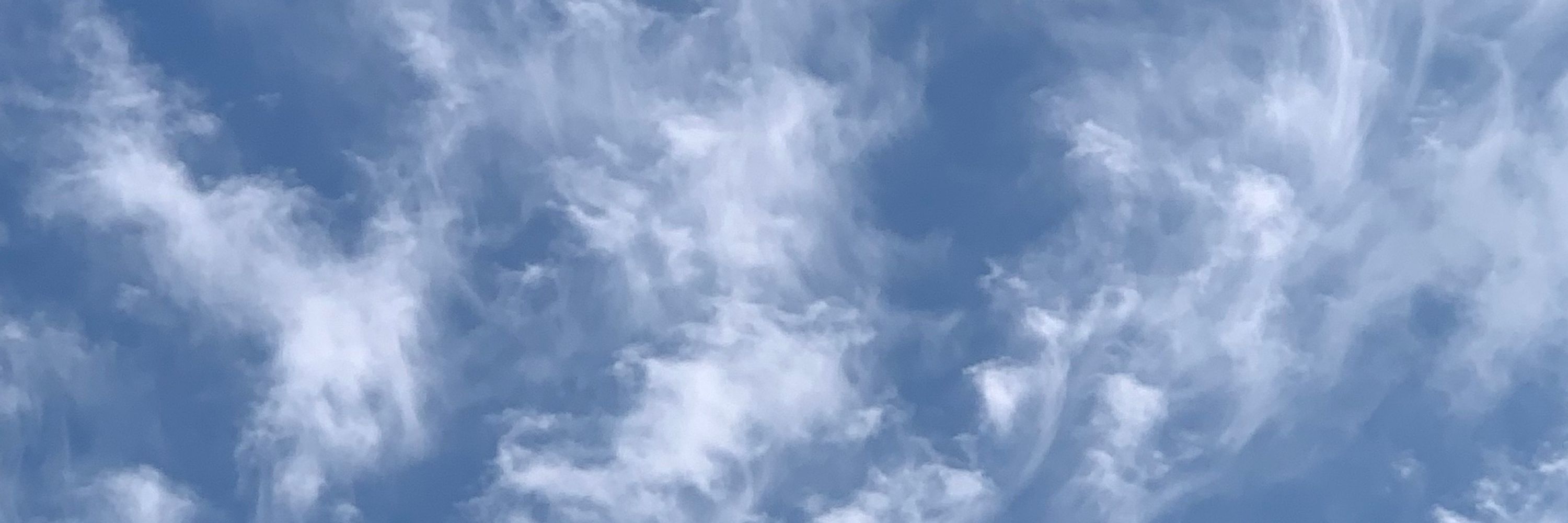 맹꽁