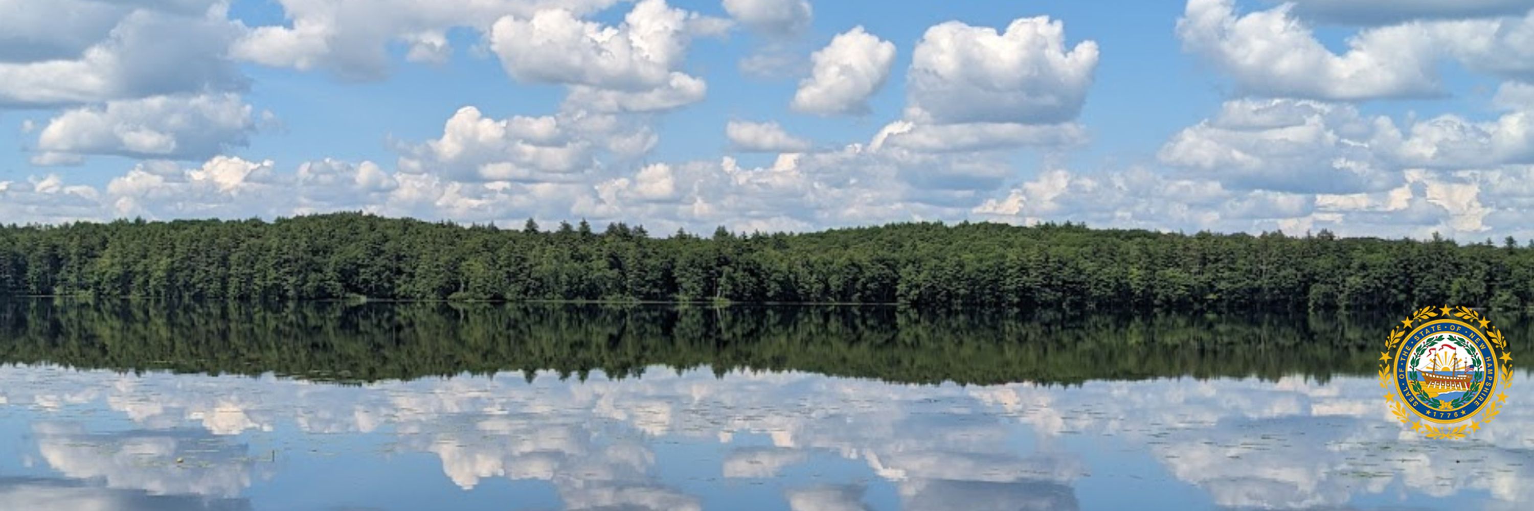NH Department of Environmental Services