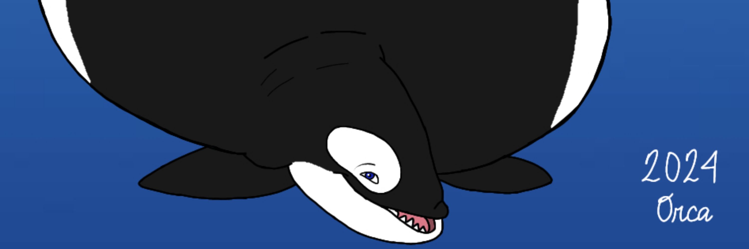 Orca Bellies