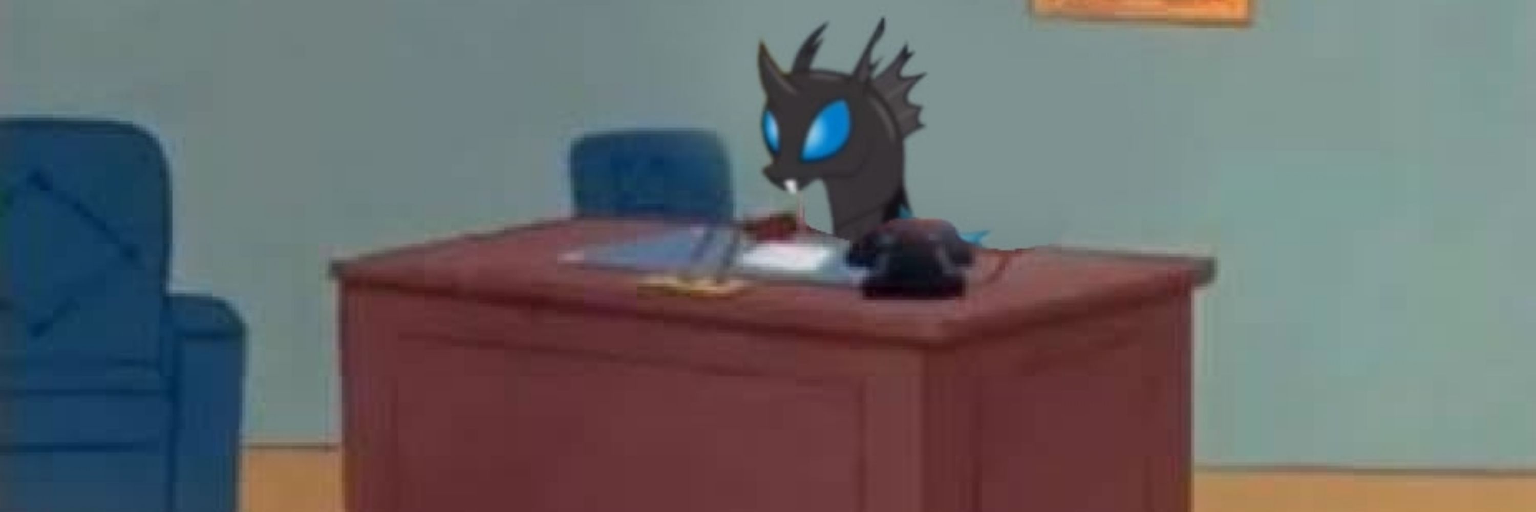 Pet