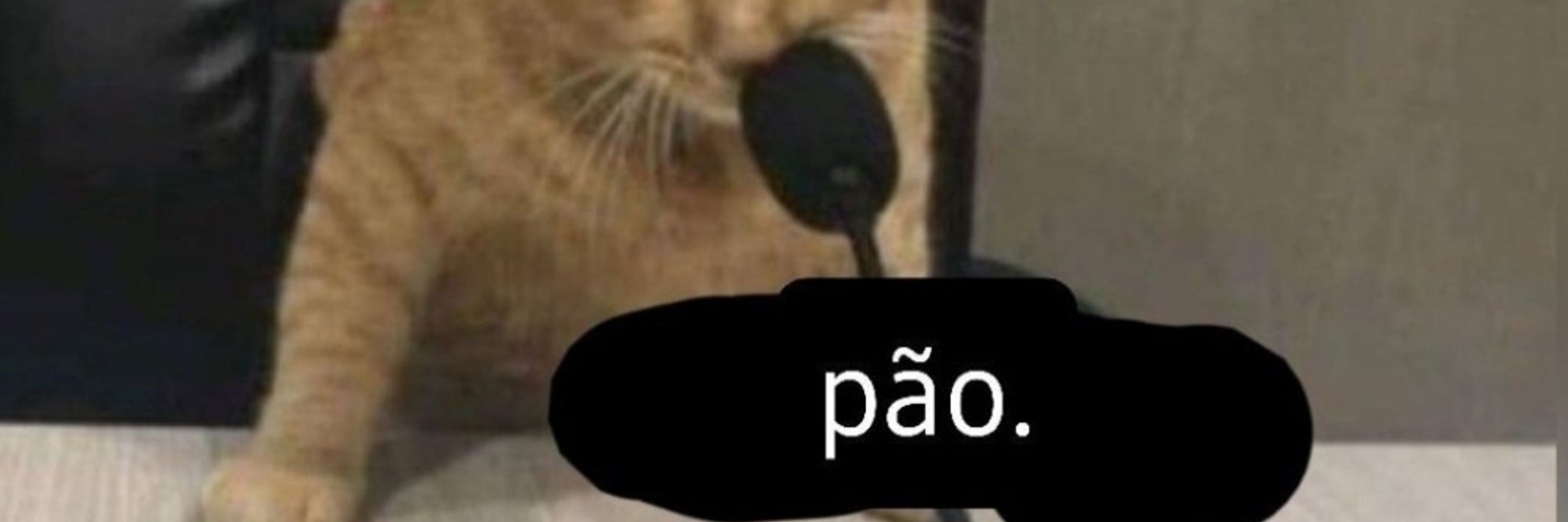 Pedro