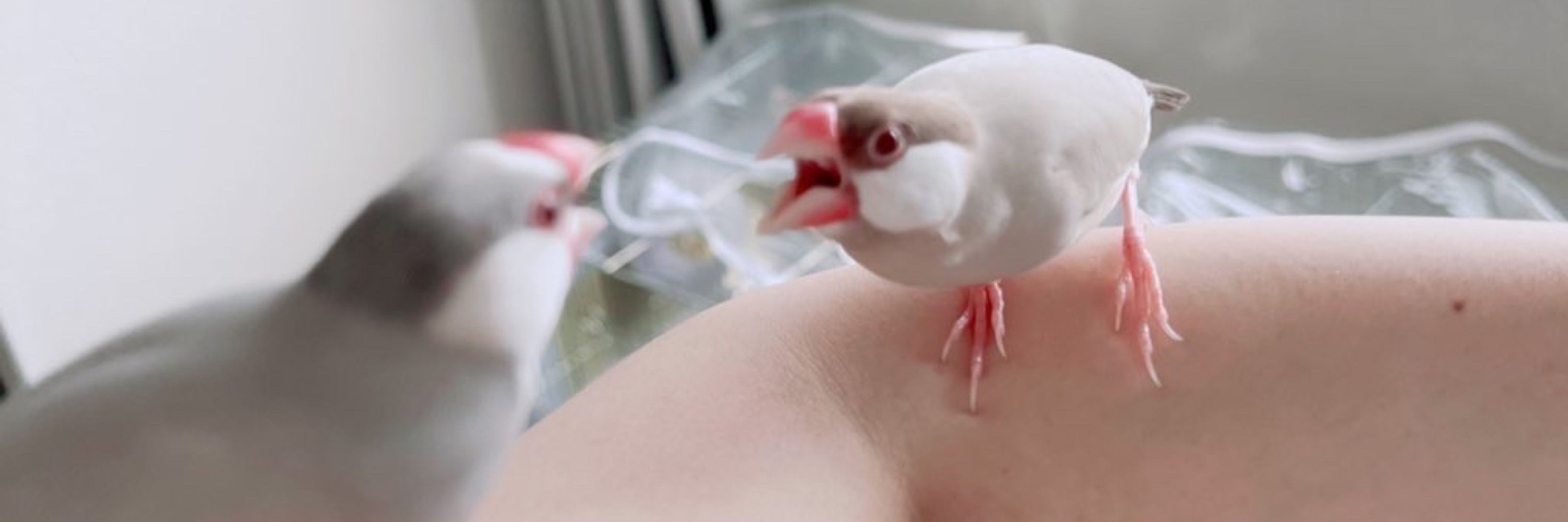 ンナ
