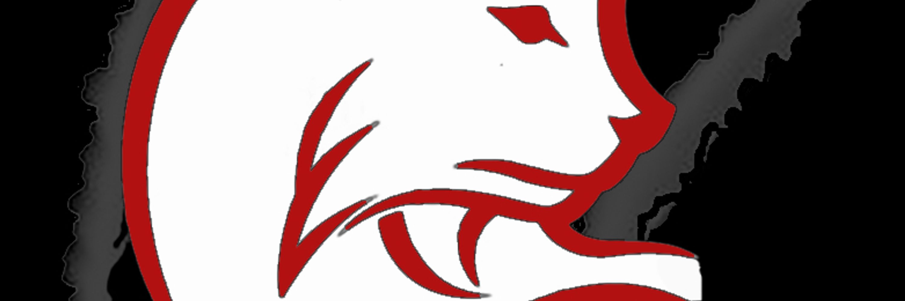 Northern Wildcat Mazra Baxton