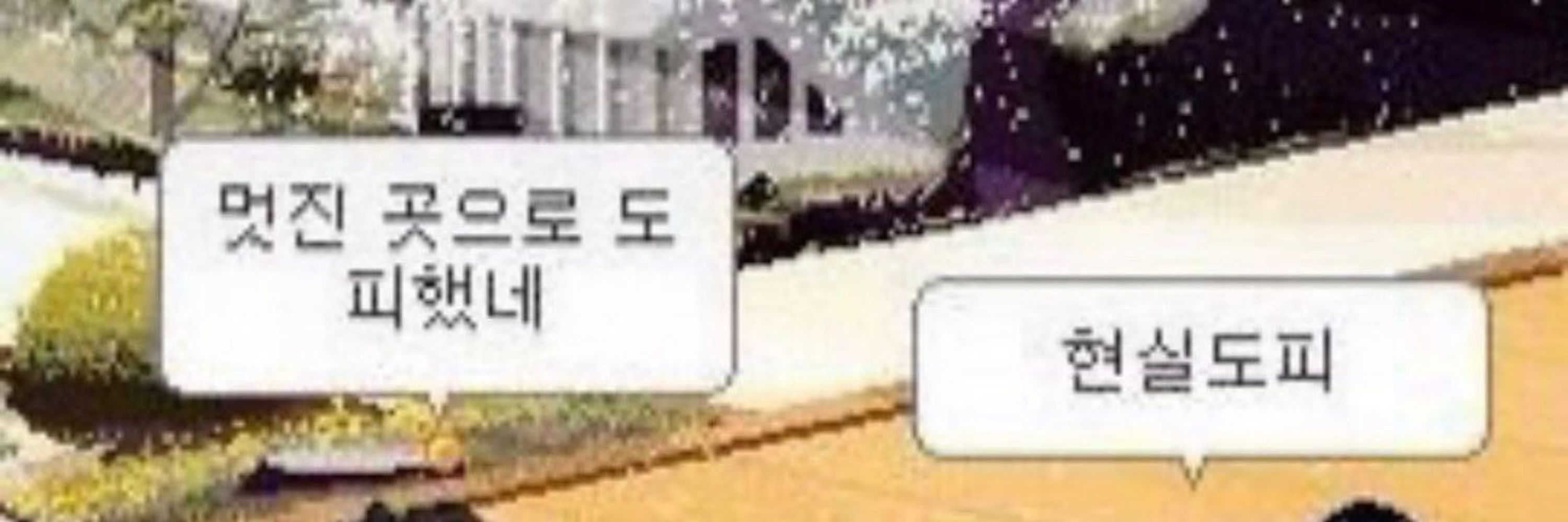 녹차