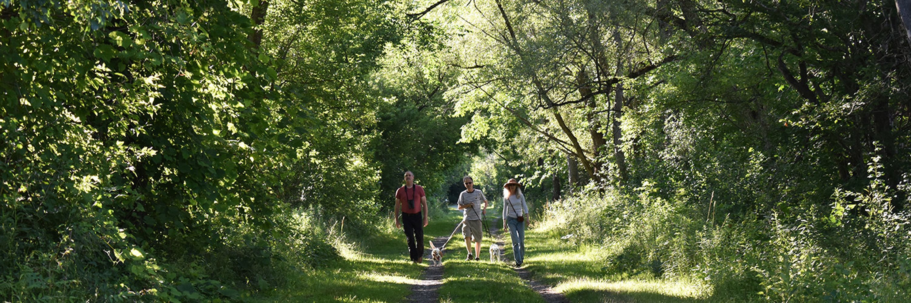 Dryden Rail Trail