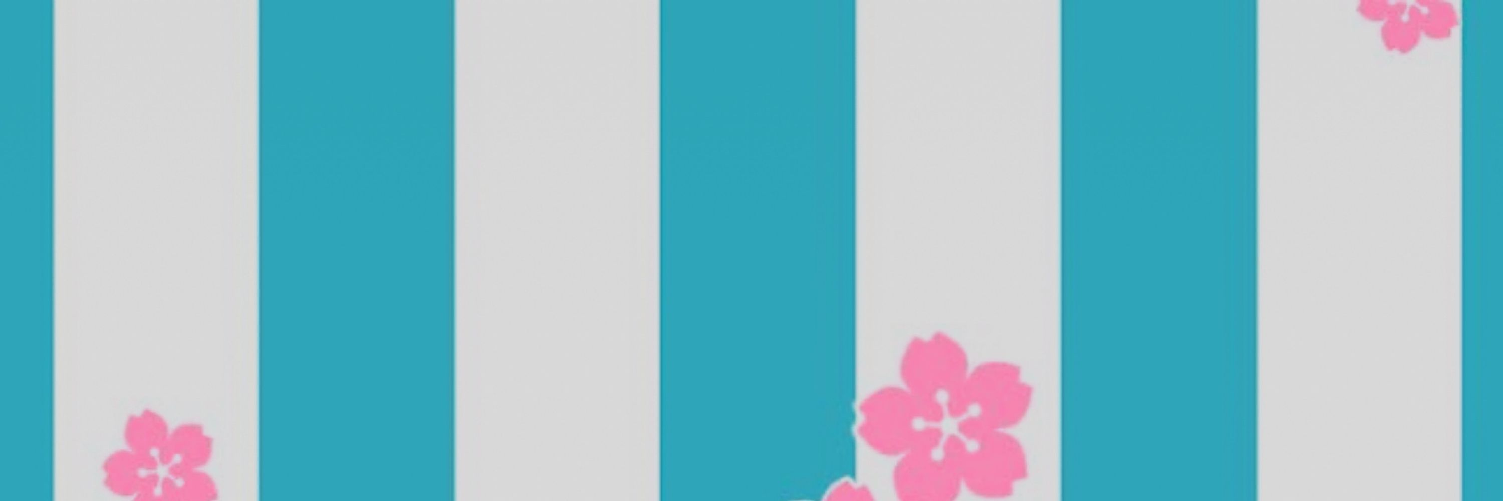 蓬