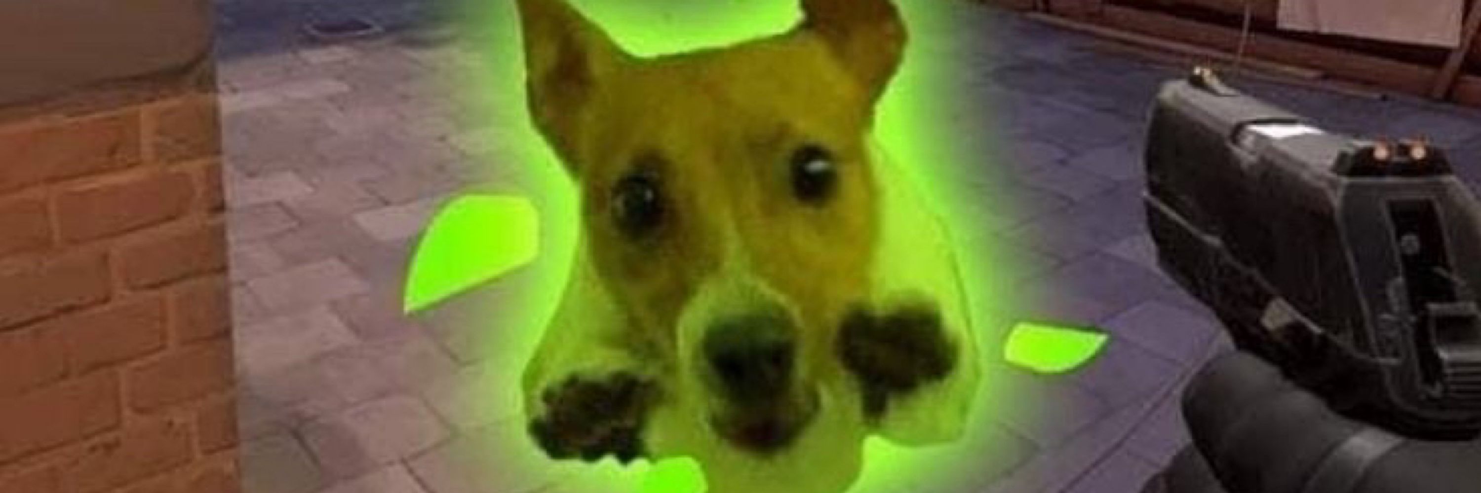 lucas lucas lucas lucas lucas