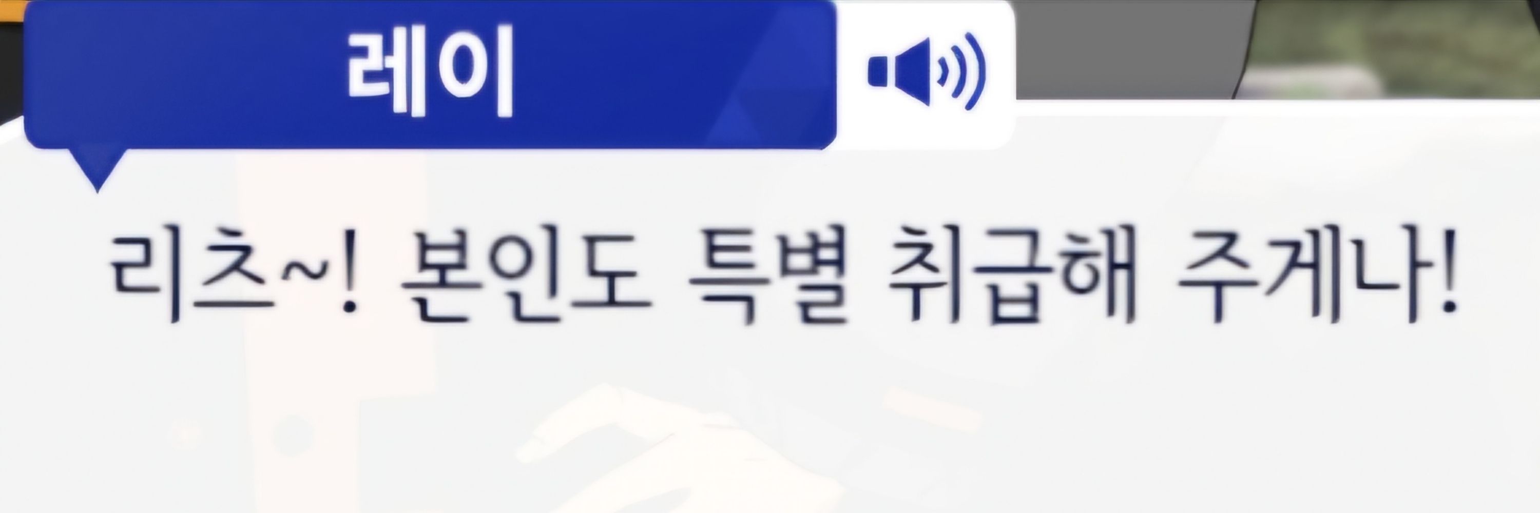 버섯 만두