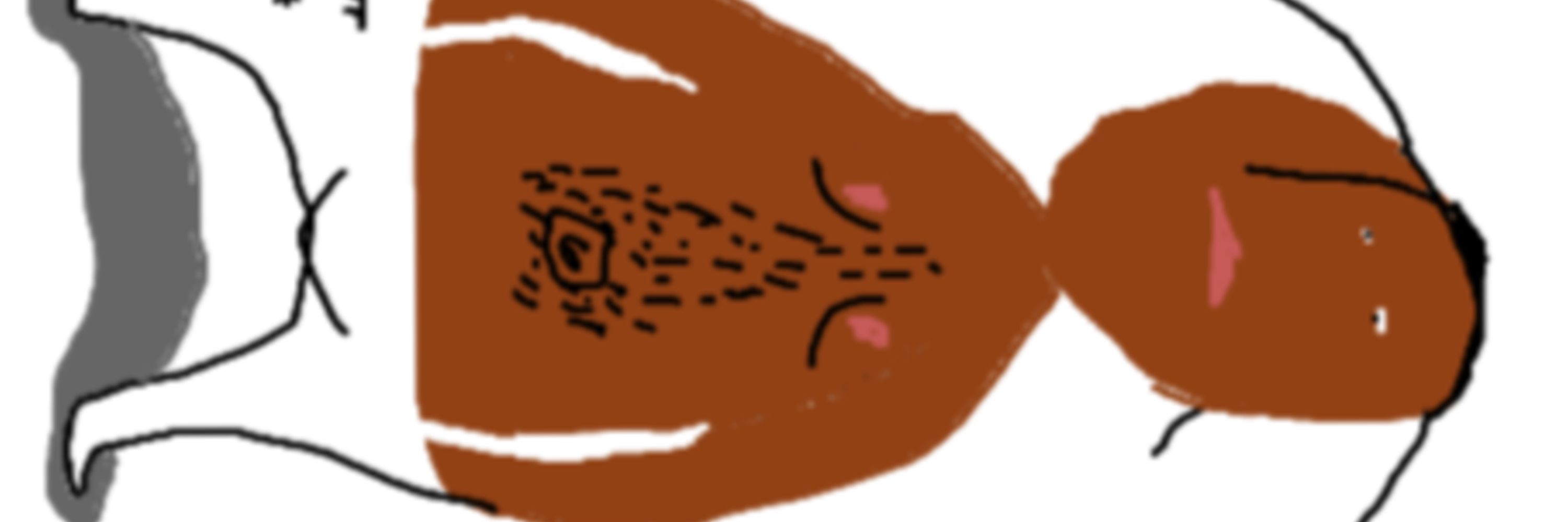 whalewarrior1