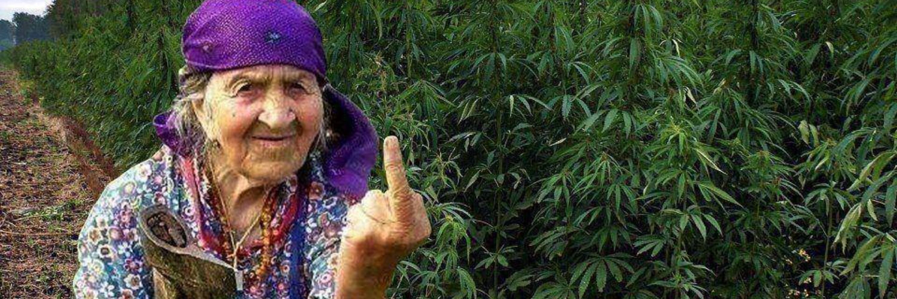 um maconheiro qualquer
