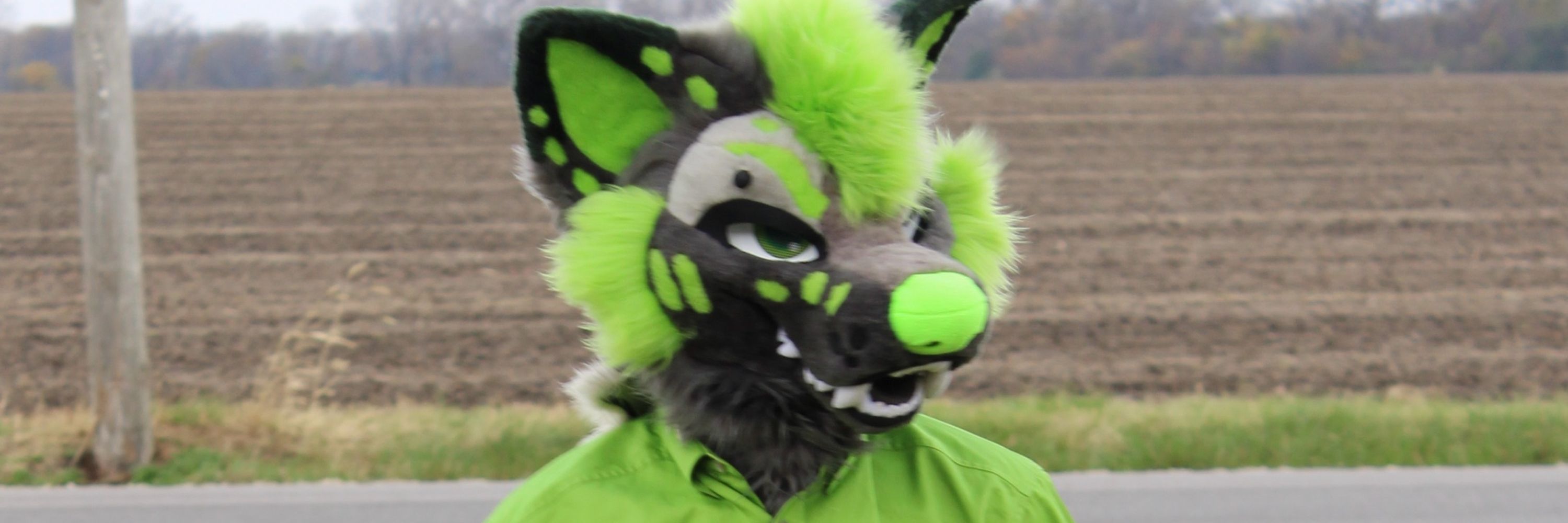 TAZ 🔜 MFF, TFF, FWA 2025