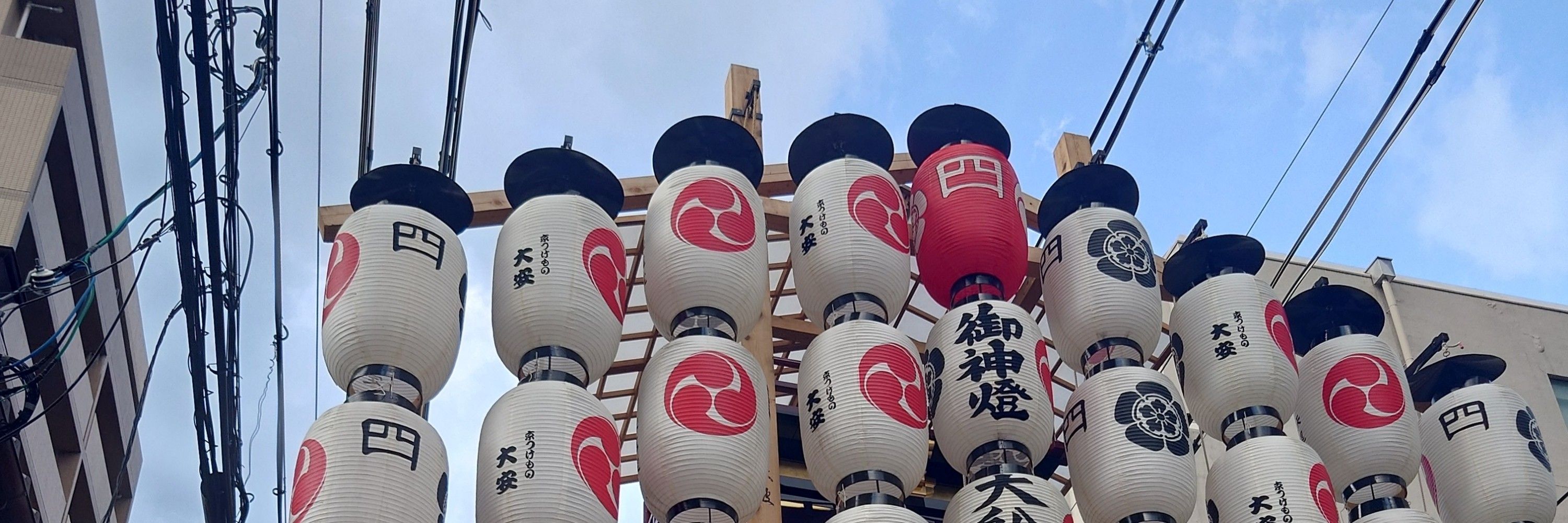 ねこまた見習い