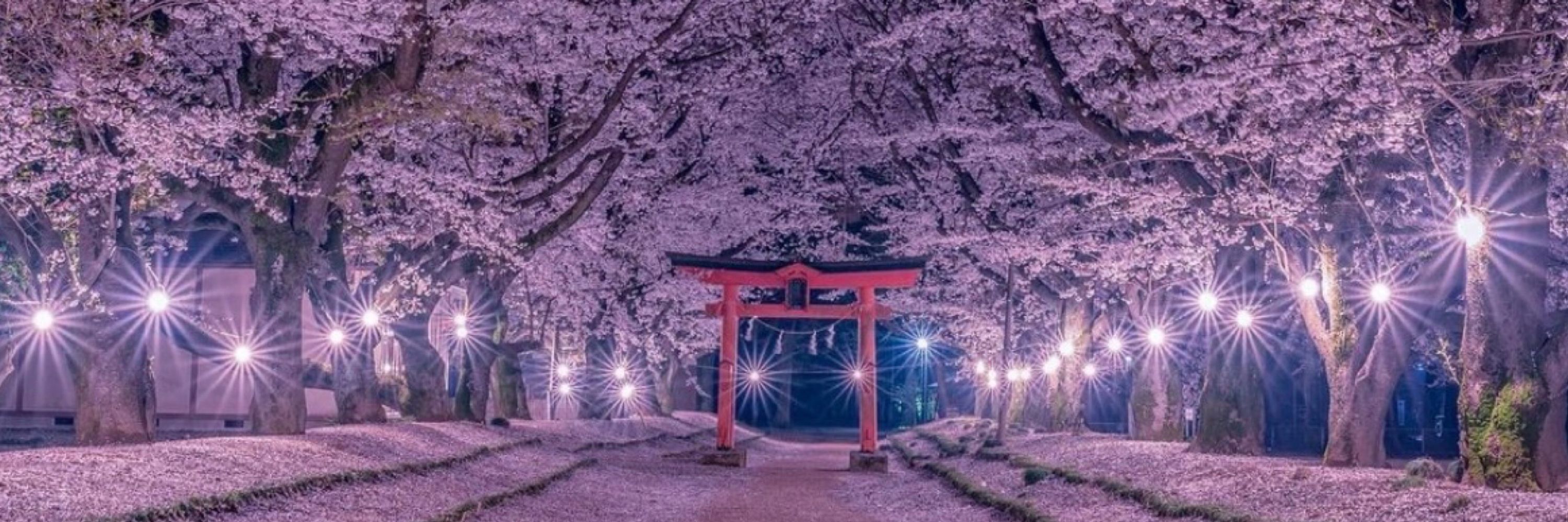 ふう