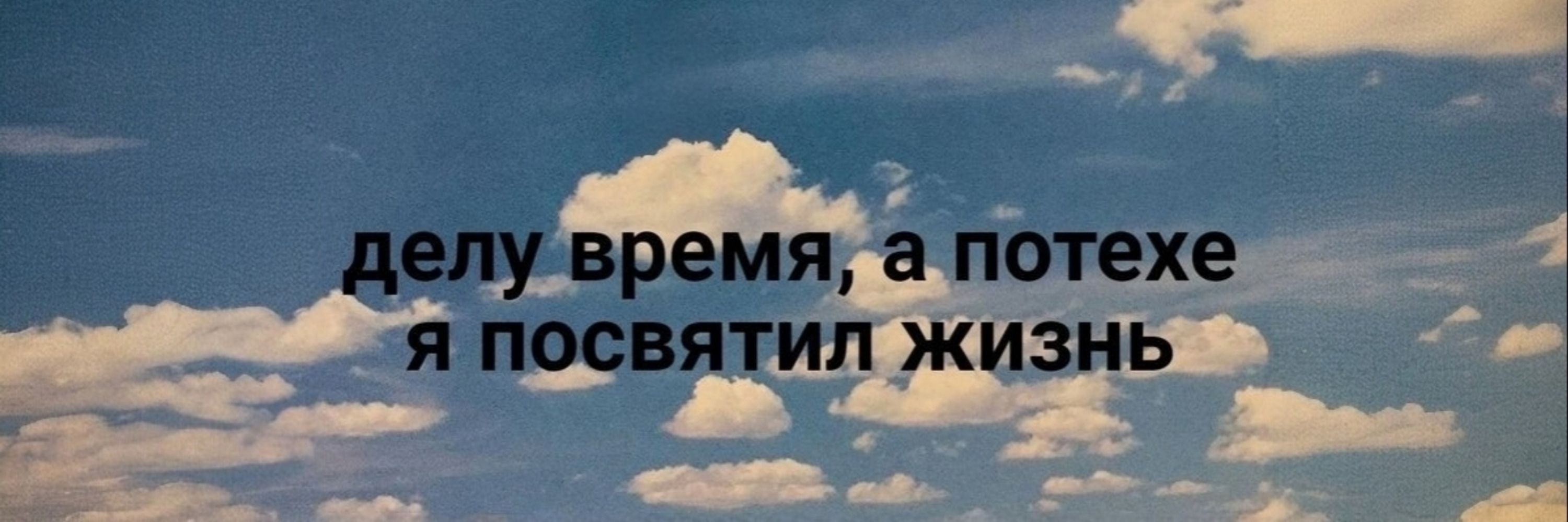 Шир который дебошир (⁠｡⁠•̀⁠ᴗ⁠-⁠)⁠✧