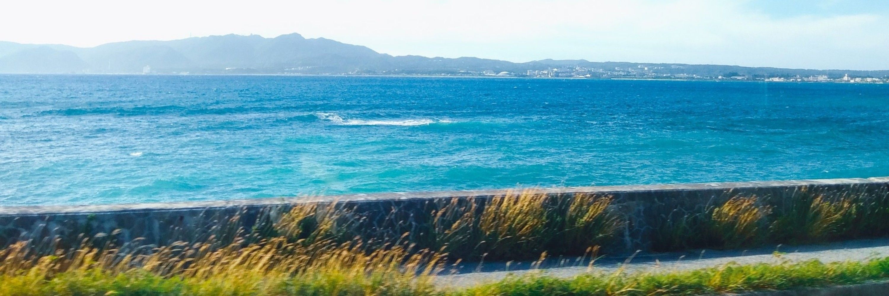 𓆝𓆟⋆｡˚🌊 SEA°saw°SEEN 🌊⋆｡˚𓆟𓆝