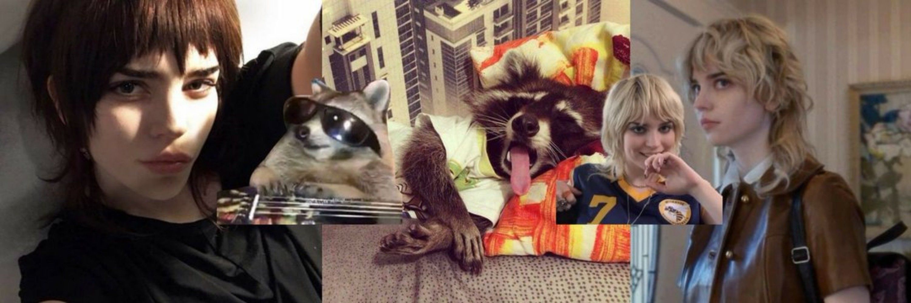 guaxinim comunista🦝☭
