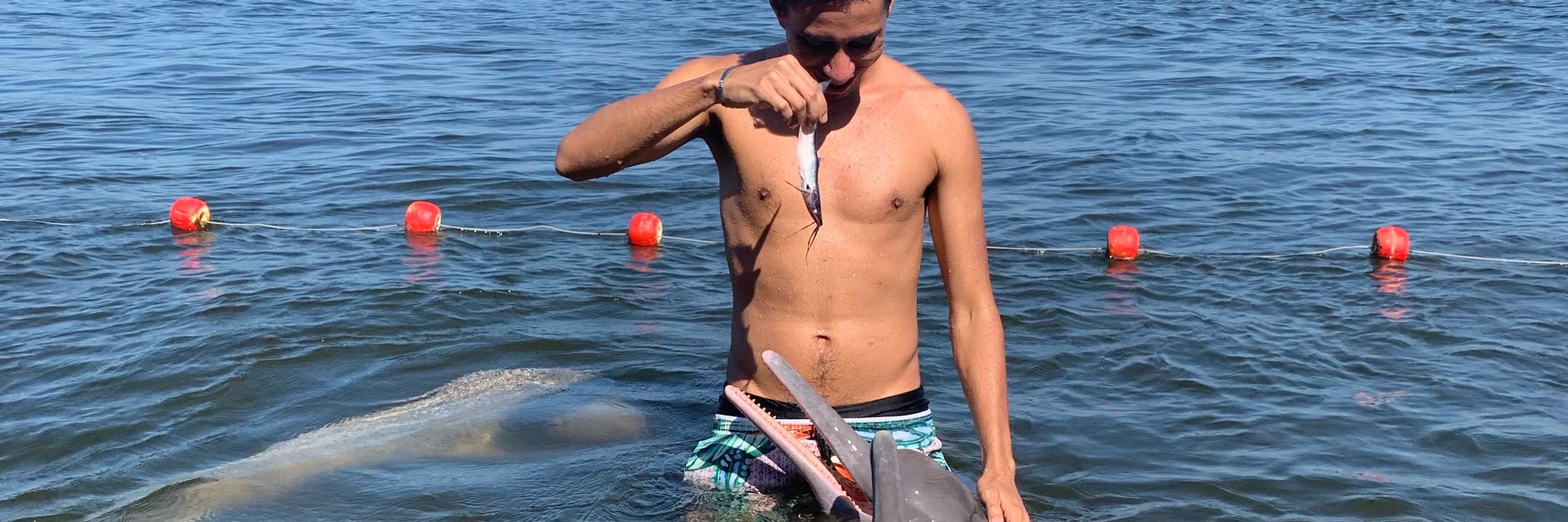 o Favacho 🏹