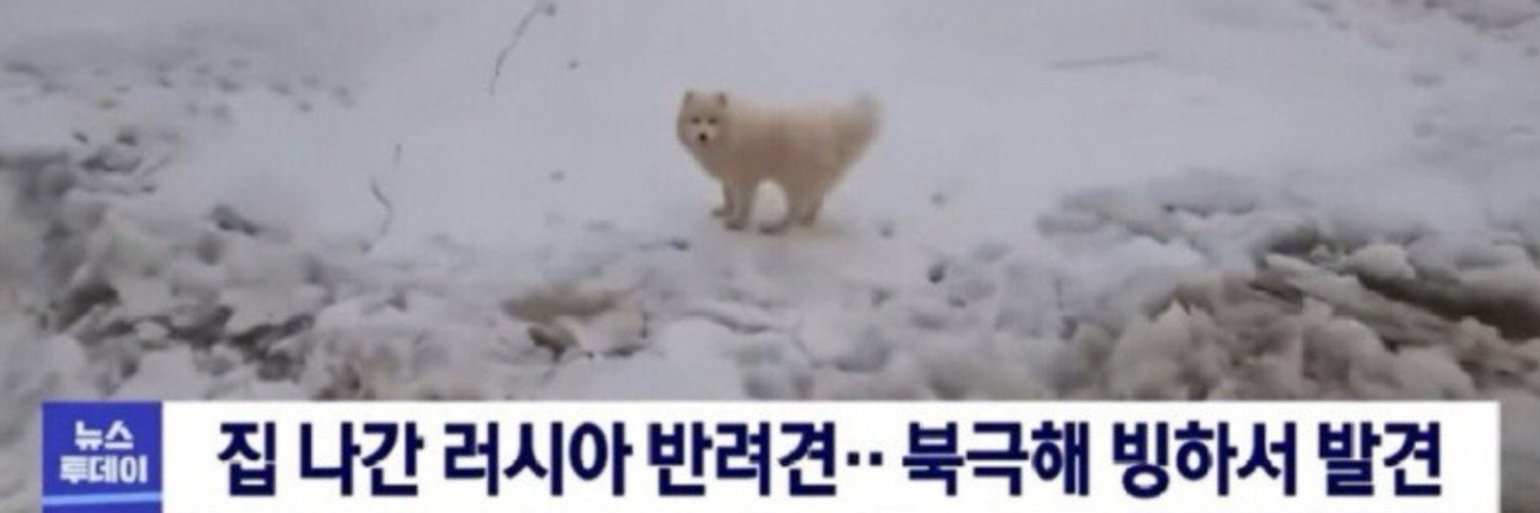 엉엉 ..