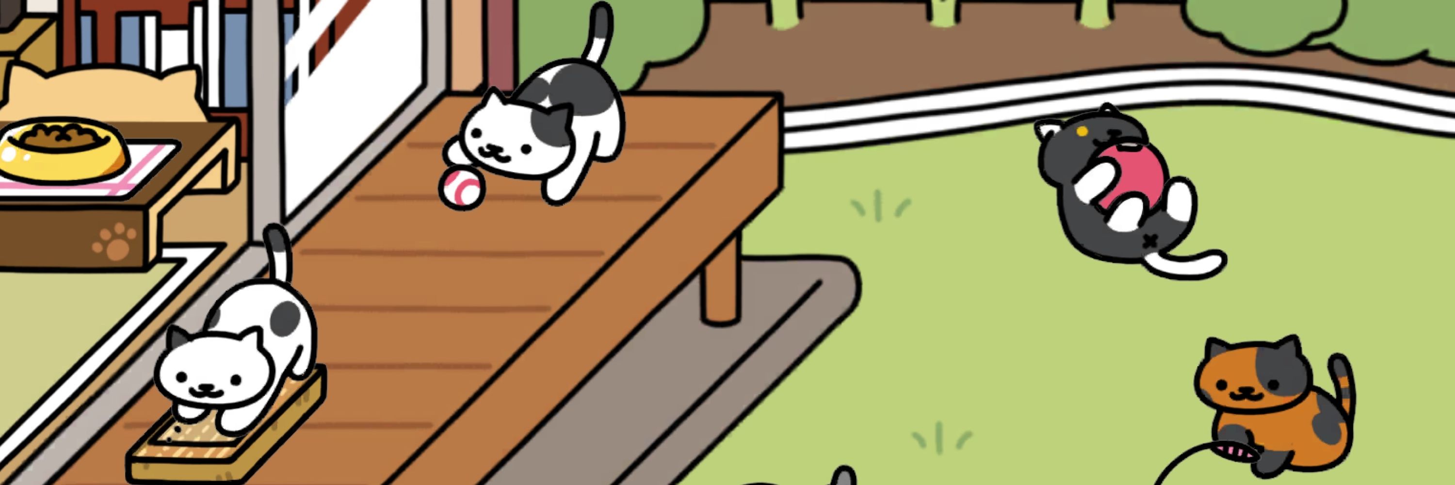 葵
