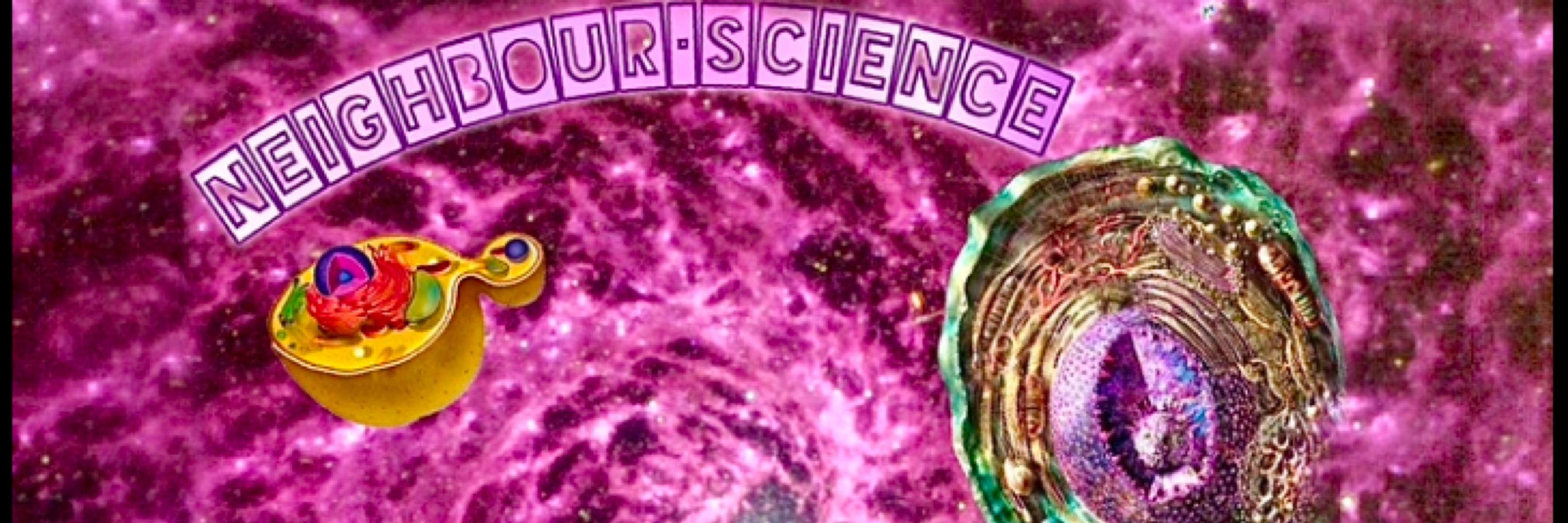 NeighbourScienceMemeFarm