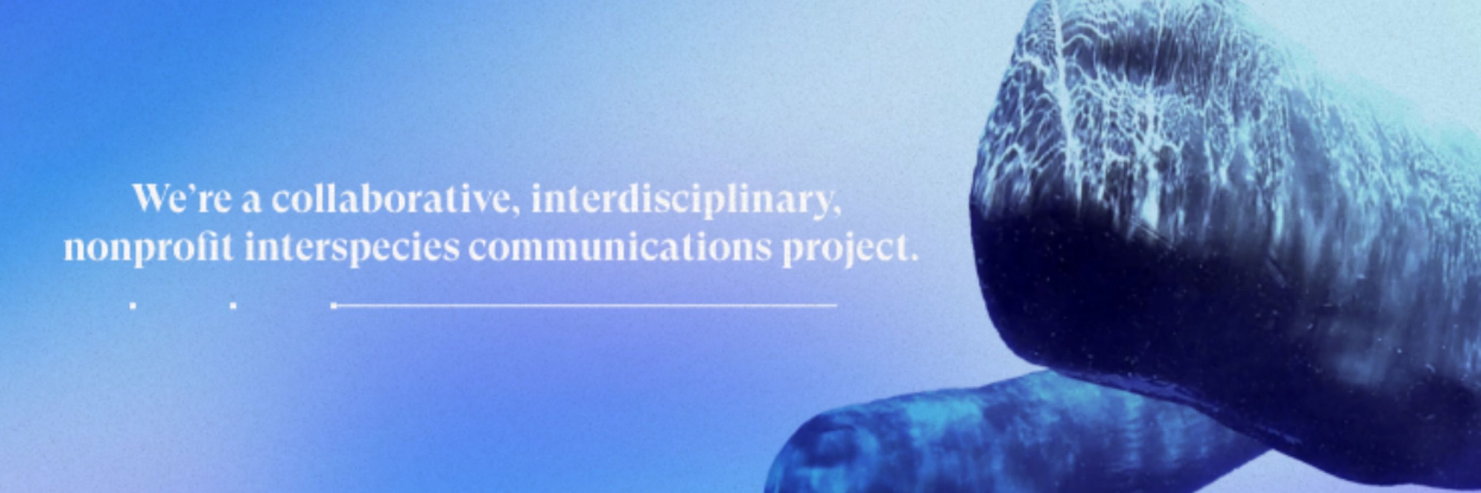 Project CETI